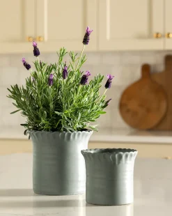 Blythe Pot