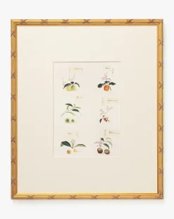 Botanical Grid 1