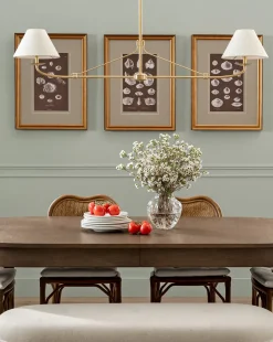 Conchology Study Triptych No. 3