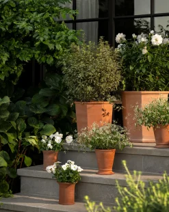 Dempsey Terracotta Pot