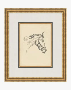 Equine Lines 1