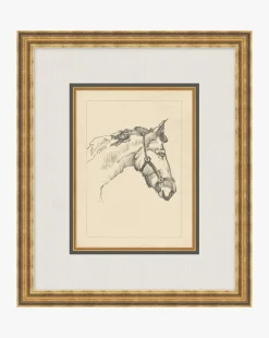 Equine Lines 1