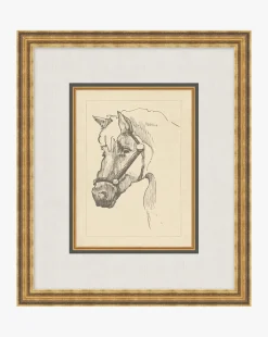 Equine Lines 2
