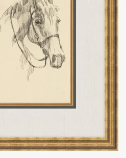 Equine Lines 3