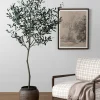 Faux 72" Olive Tree with Ceramic Pot