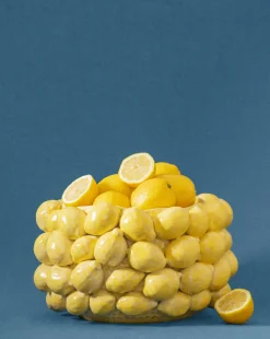 Layered Lemon Bowl
