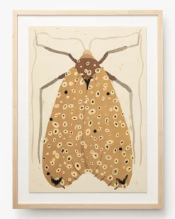 Moth IV By Coup d'Esprit