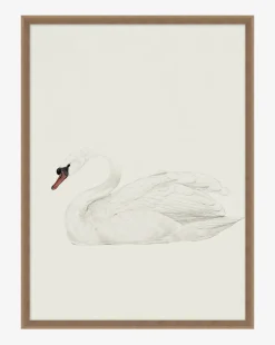 Neutral Swan
