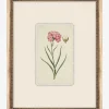 Petite Floral VIII